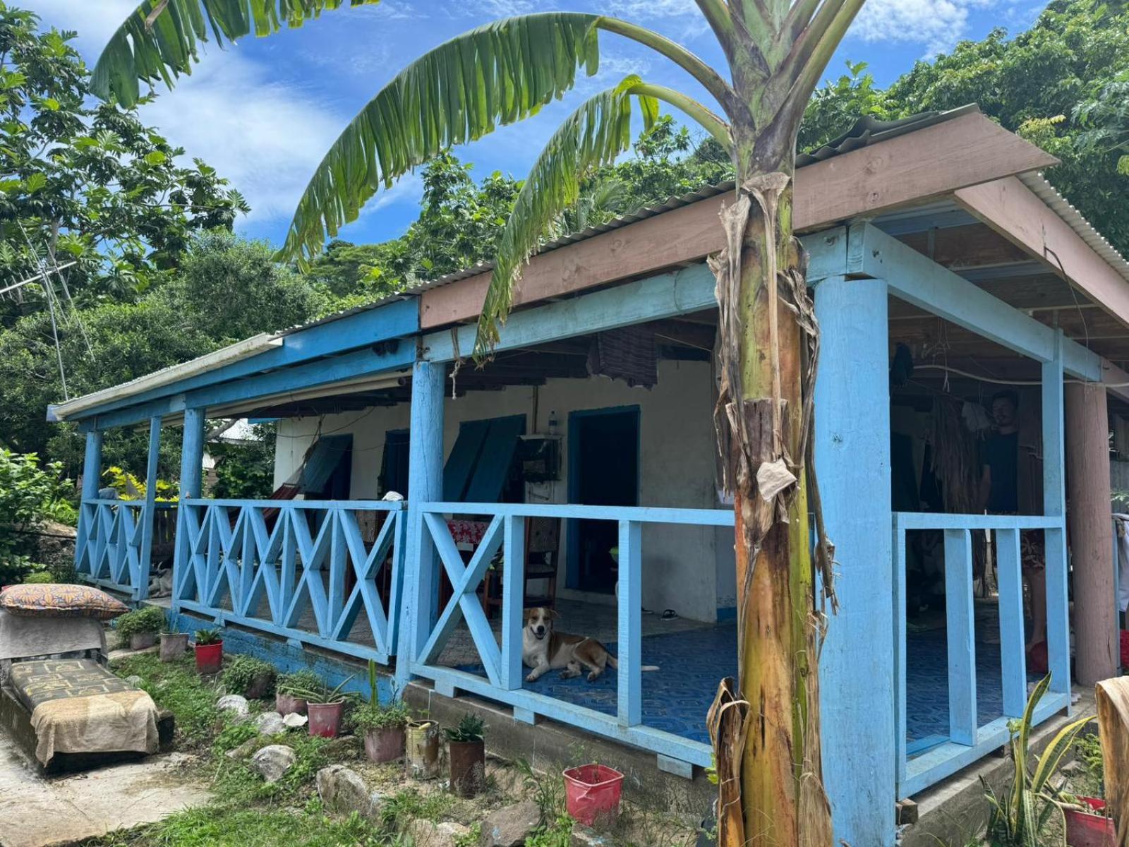 Lusis Homestay Lautoka Exterior foto